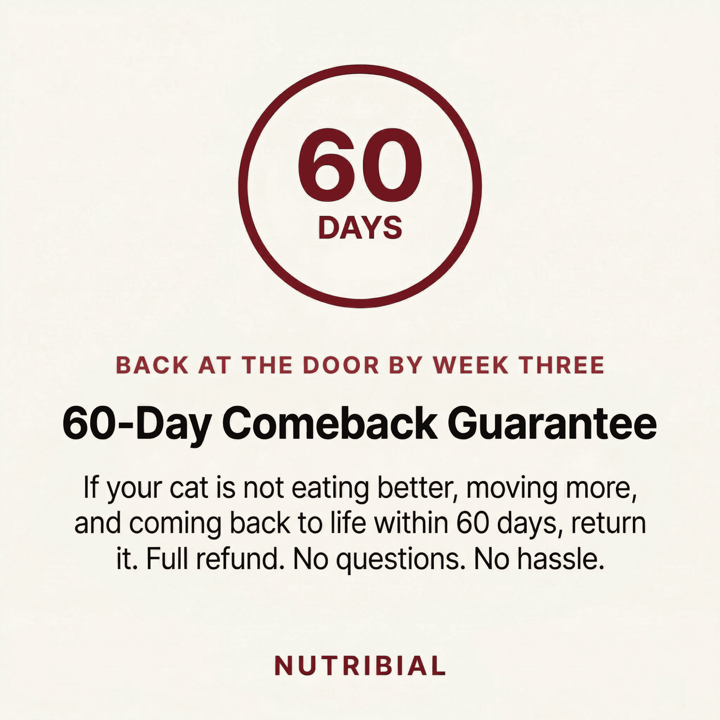 Nutribial Advanced Haematinic Complex