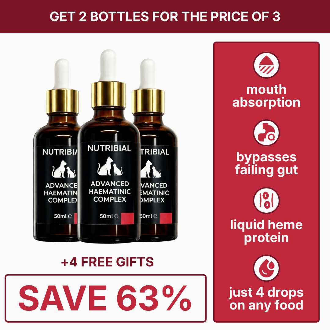 Nutribial Advanced Haematinic Complex