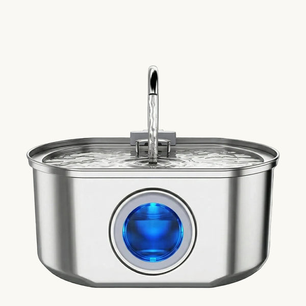 Water Fountain
