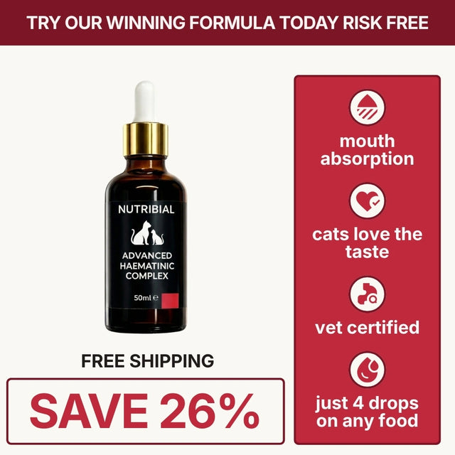 Nutribial Advanced Haematinic Complex