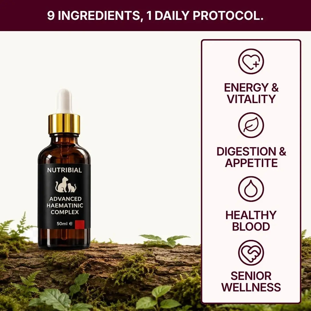 Nutribial Advanced Haematinic Complex