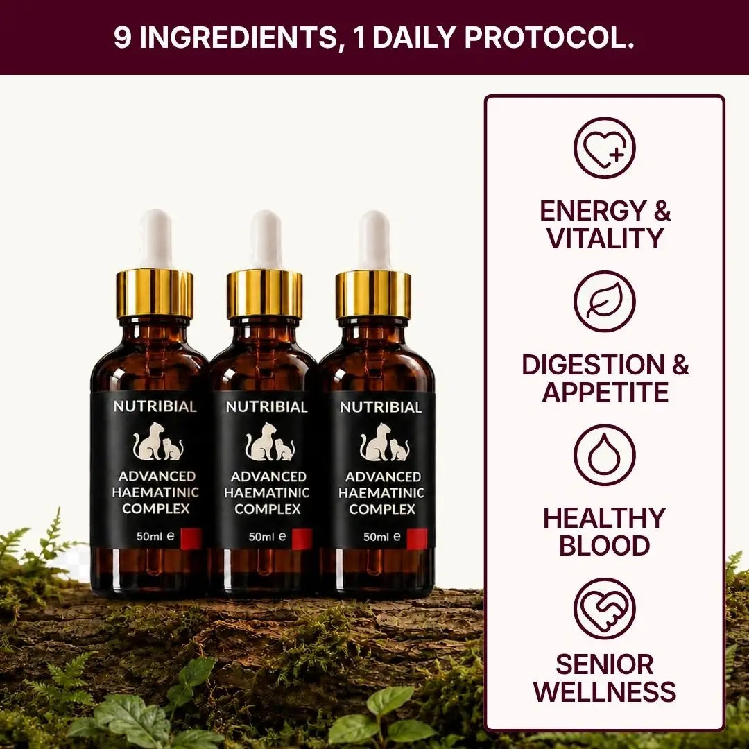 Nutribial Advanced Haematinic Complex