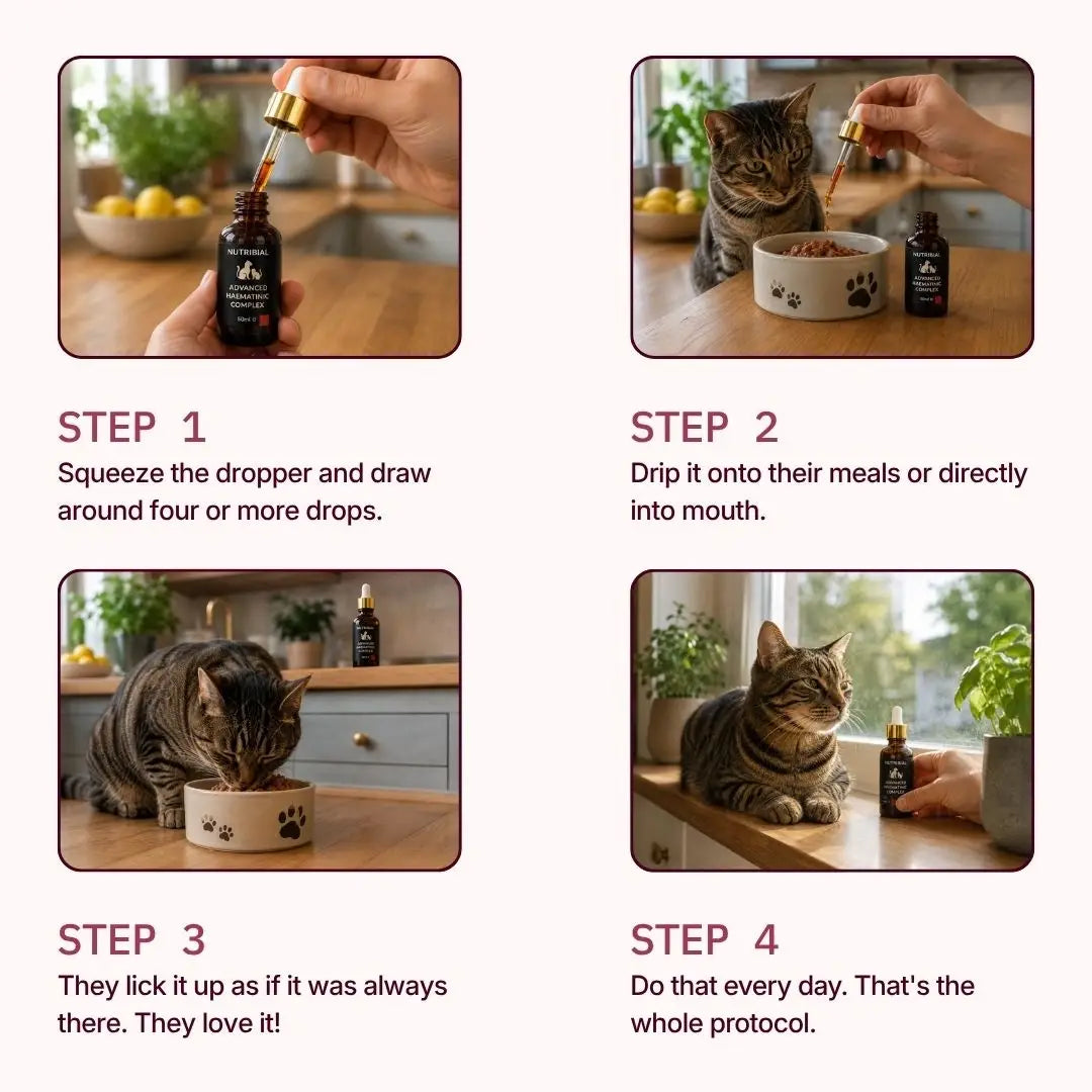 Nutribial Advanced Haematinic Complex