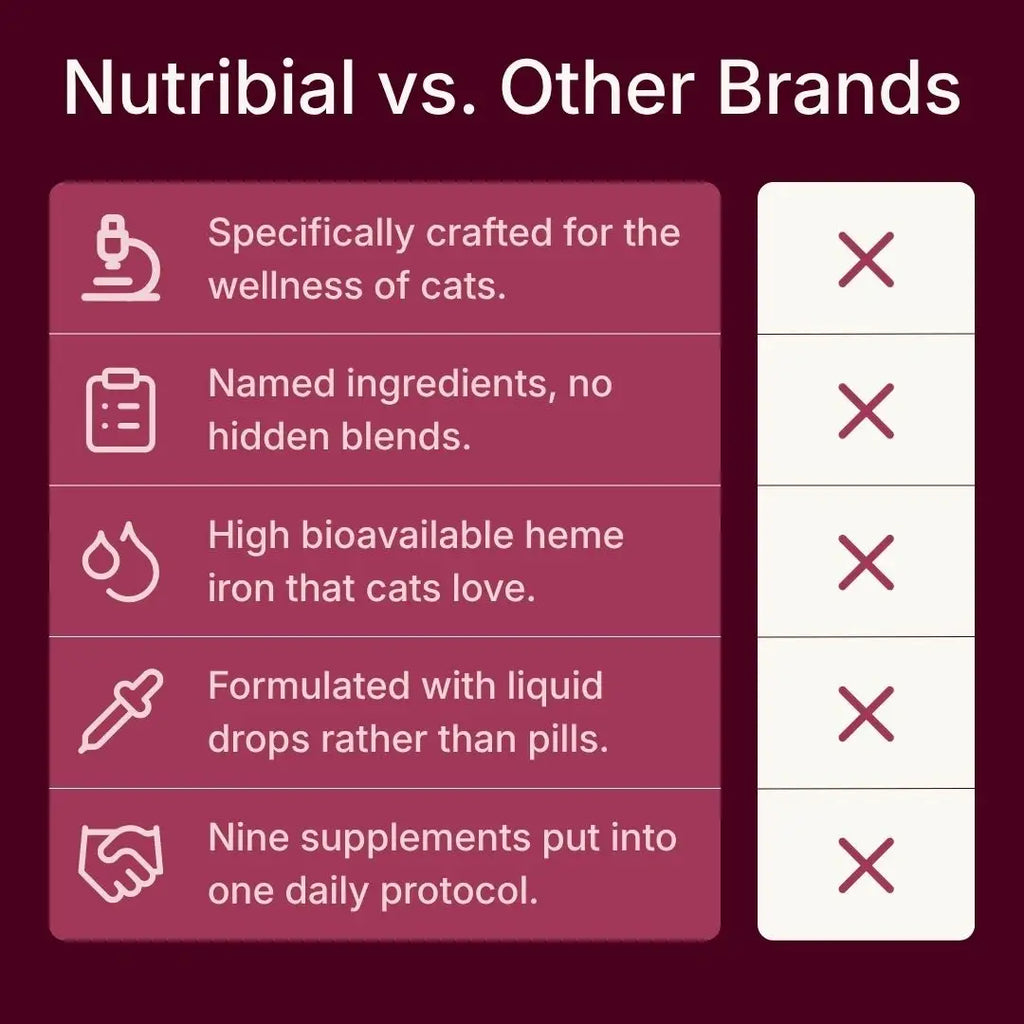 Nutribial Advanced Haematinic Complex