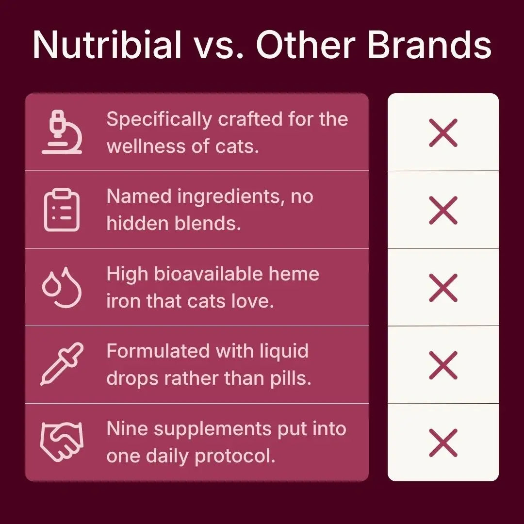 Nutribial Advanced Haematinic Complex