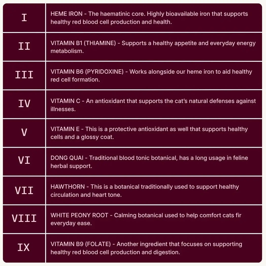 Nutribial Advanced Haematinic Complex