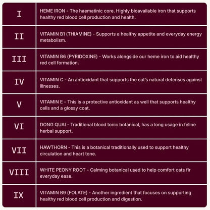 Nutribial Advanced Haematinic Complex