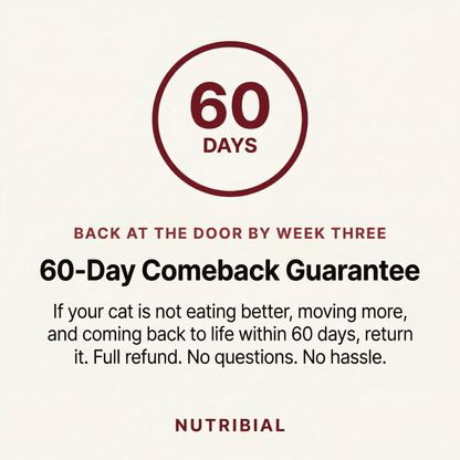 Nutribial Advanced Haematinic Complex