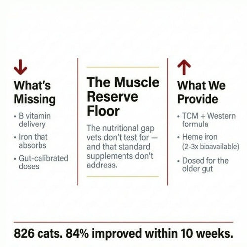 Nutribial Advanced Haematinic Complex