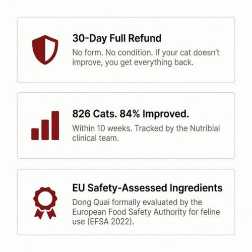 Nutribial Advanced Haematinic Complex